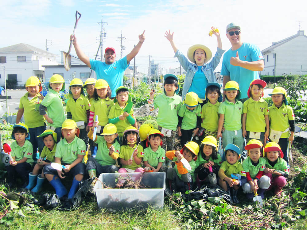 Sweet potato Harvest